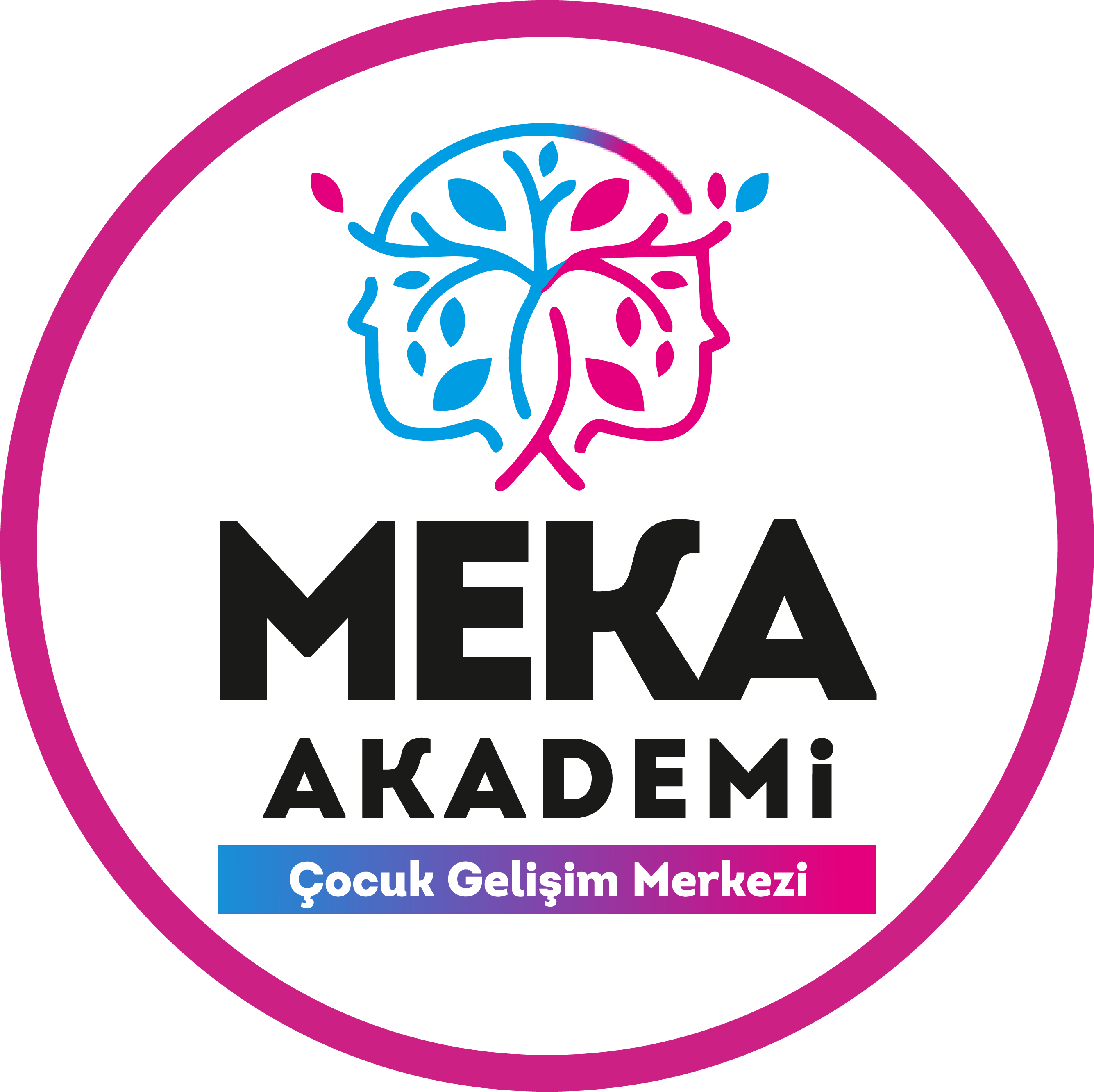 Meka Akademi Meka Akademi
